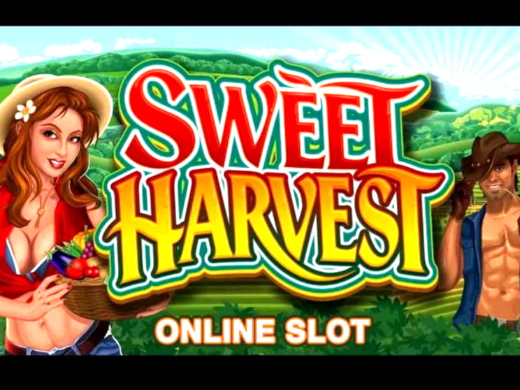 Eur 485 No Deposit Casino Bonus at Leo Vegas Casino