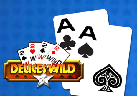EUR 80 Daily freeroll slot tournament at Winner Casino