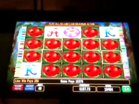 ﻿$200 Free chip casino at Spin Palace Casino