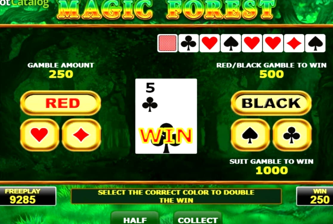 170 free spins at Casimba Casino