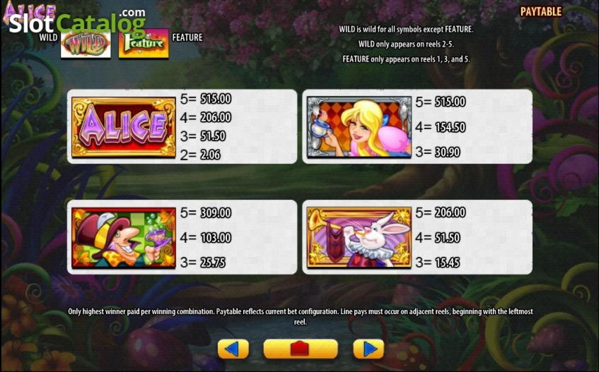 290 Free Spins at Casino com