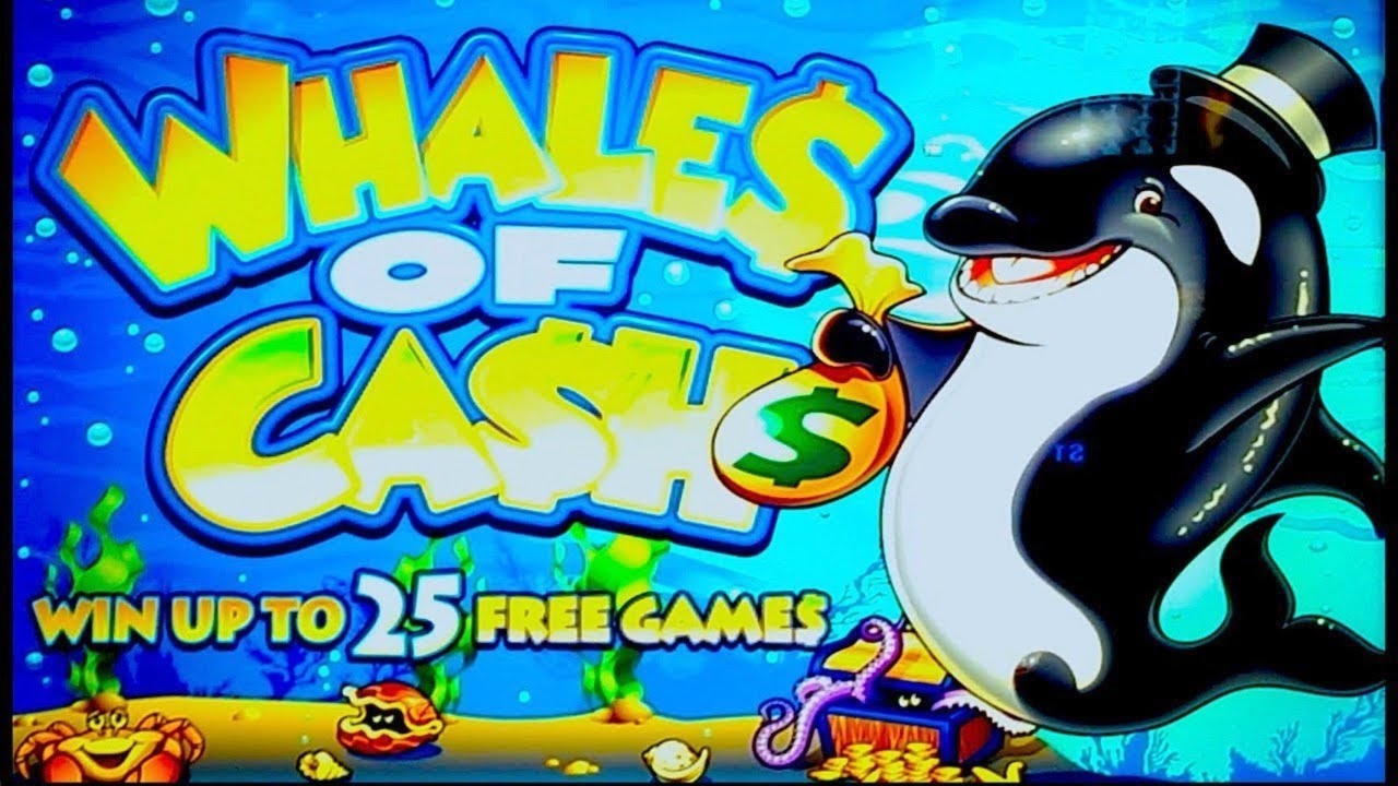 655% No Rules Bonus! at William Hill Casino