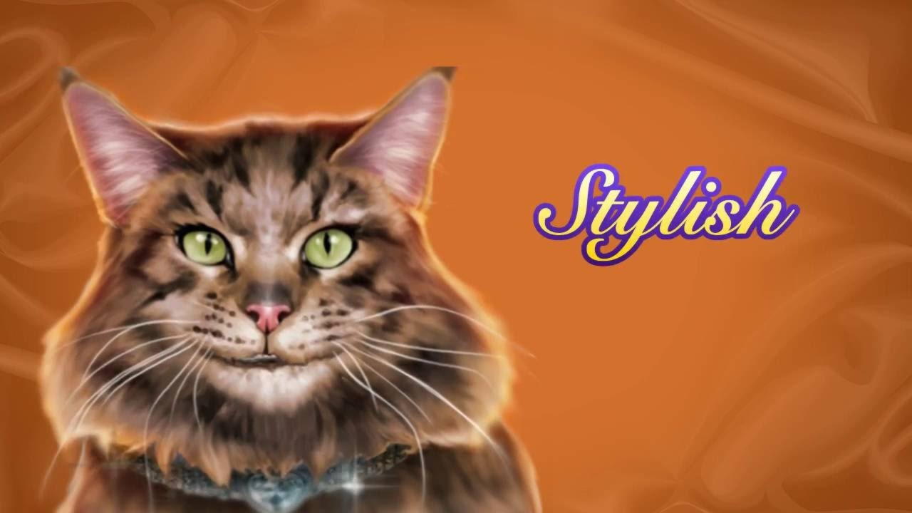 265 Free spins at Rizk Casino