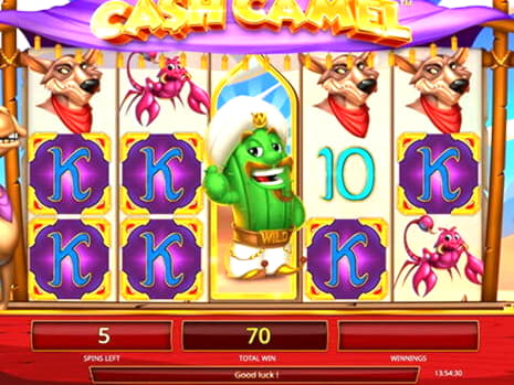 EURO 430 FREE CHIP CASINO at Genesis Casino
