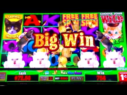 EUR 185 free chip casino at 777 Casino