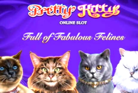 11 Free spins no deposit at Party Casino