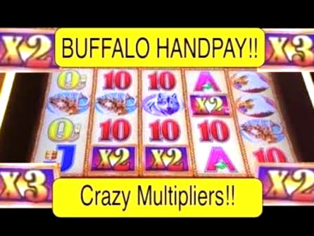 $310 Casino Chip at Jet Bull Casino