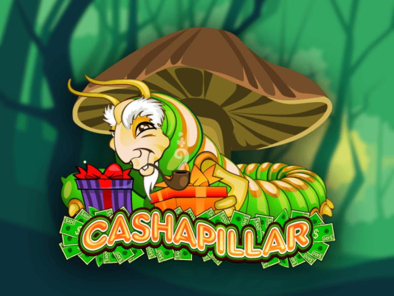 $400 Daily freeroll slot tournament at Spinrider Casino