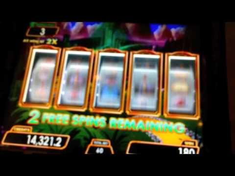 €475 Free Cash at Winner Casino