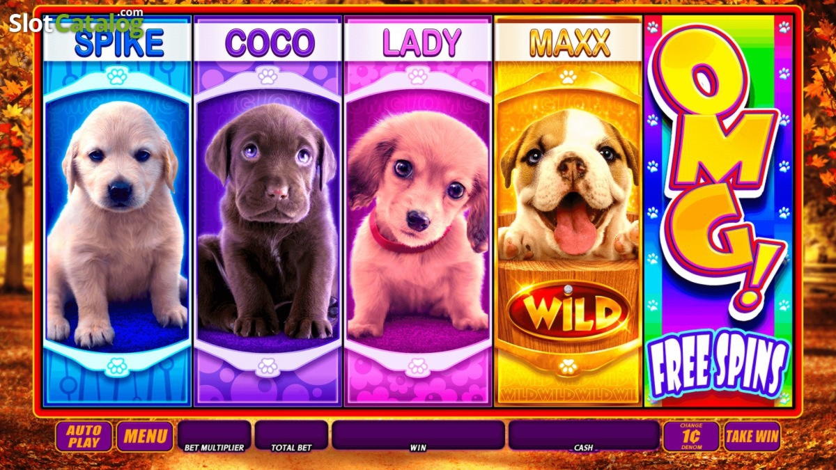290 Free spins no deposit at Spinrider Casino