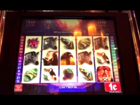 $470 Daily freeroll slot tournament at Sloty Casino