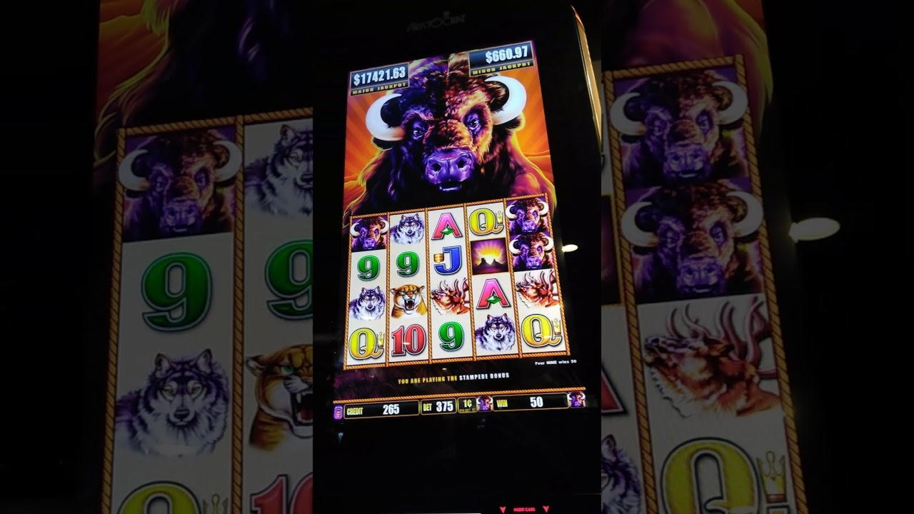 €525 free casino chip at Casimba Casino