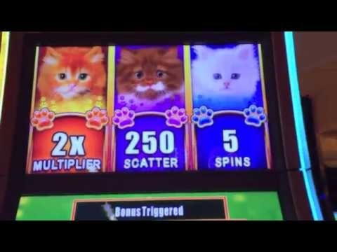 640% Match at a Casino at Casino com