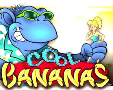 800% Best Signup Bonus Casino at Winner Casino
