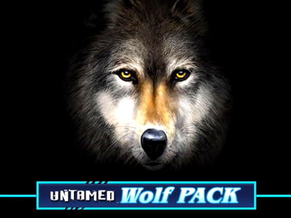 45 Free spins at Winner Casino