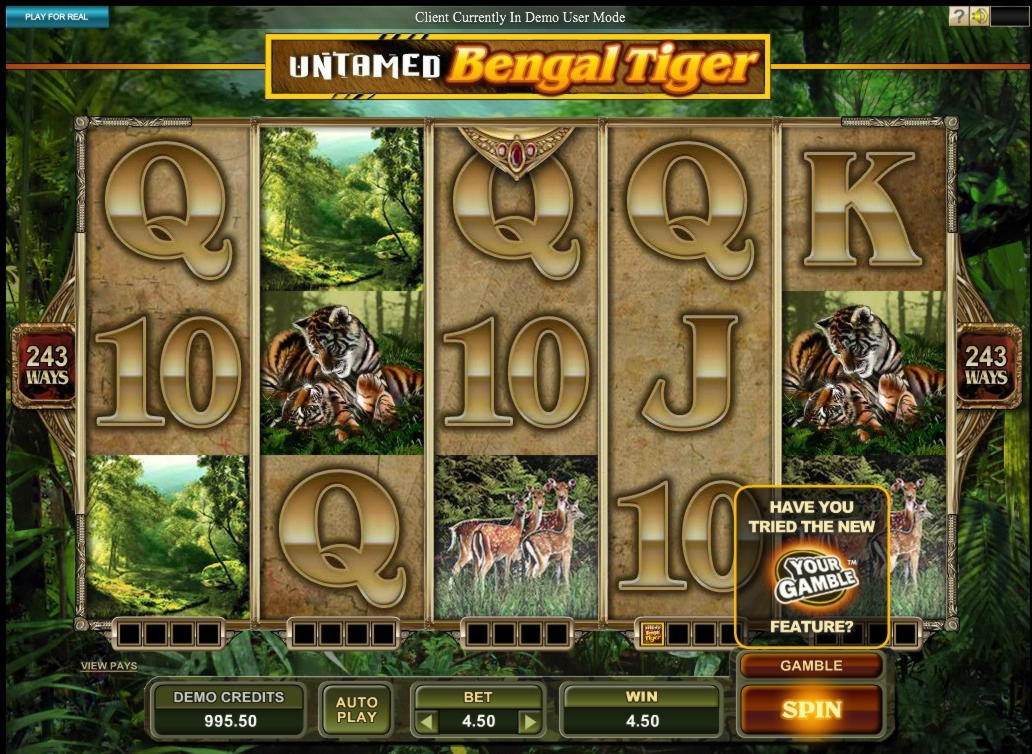 EUR 335 Online Casino Tournament at Gamebookers Casino
