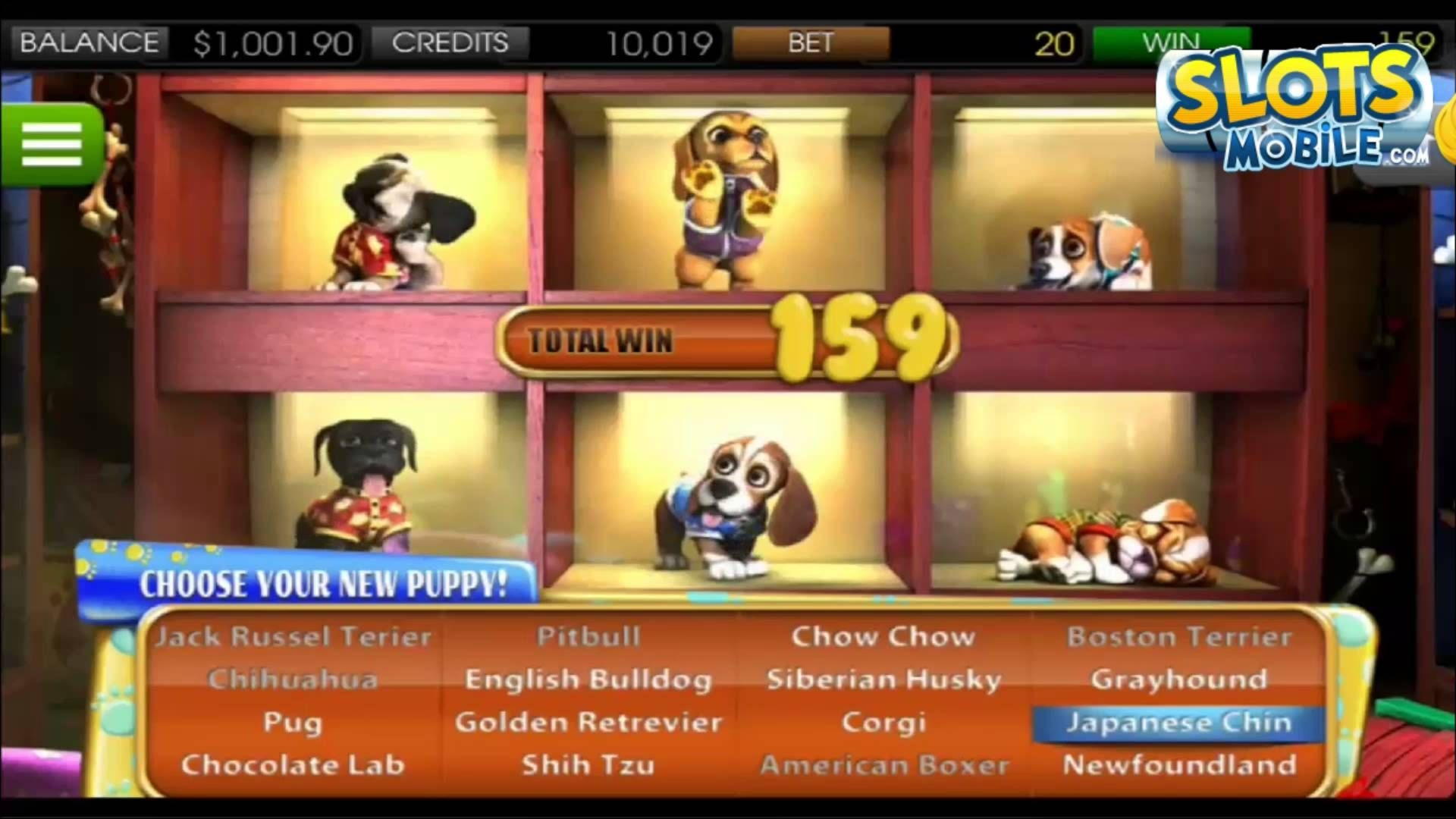 530% Match Bonus Casino at Sloty Casino