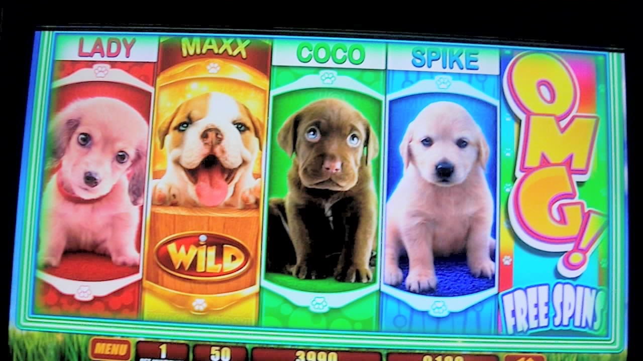 445% Match Bonus Casino at Sloty Casino