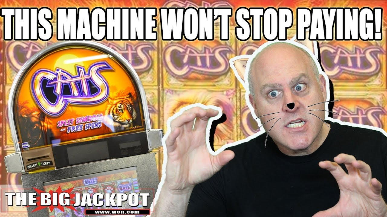 €111 no deposit at Ikibu Casino