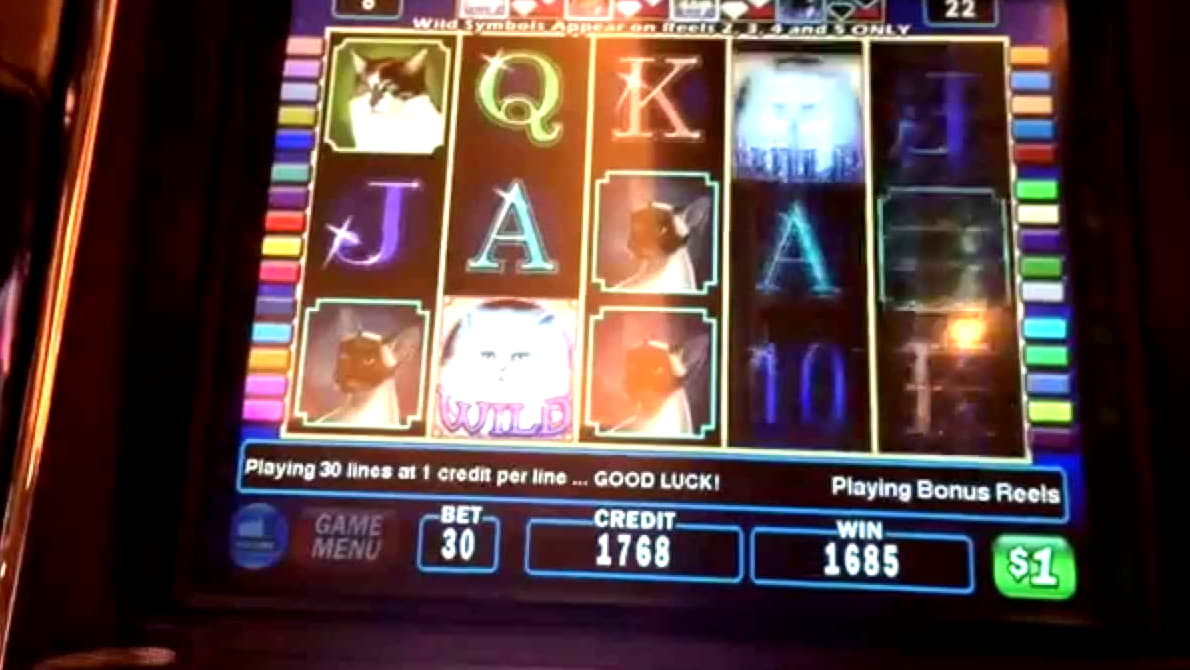 200% Casino Welcome Bonus at Gamebookers Casino