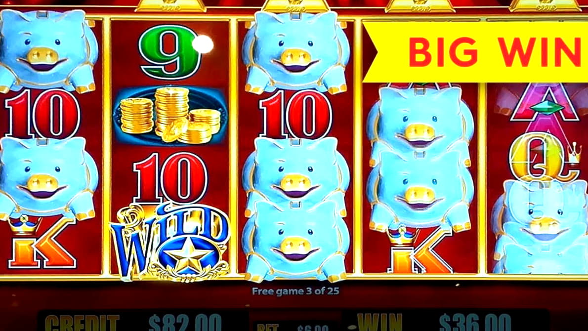 805% First deposit bonus at Ikibu Casino