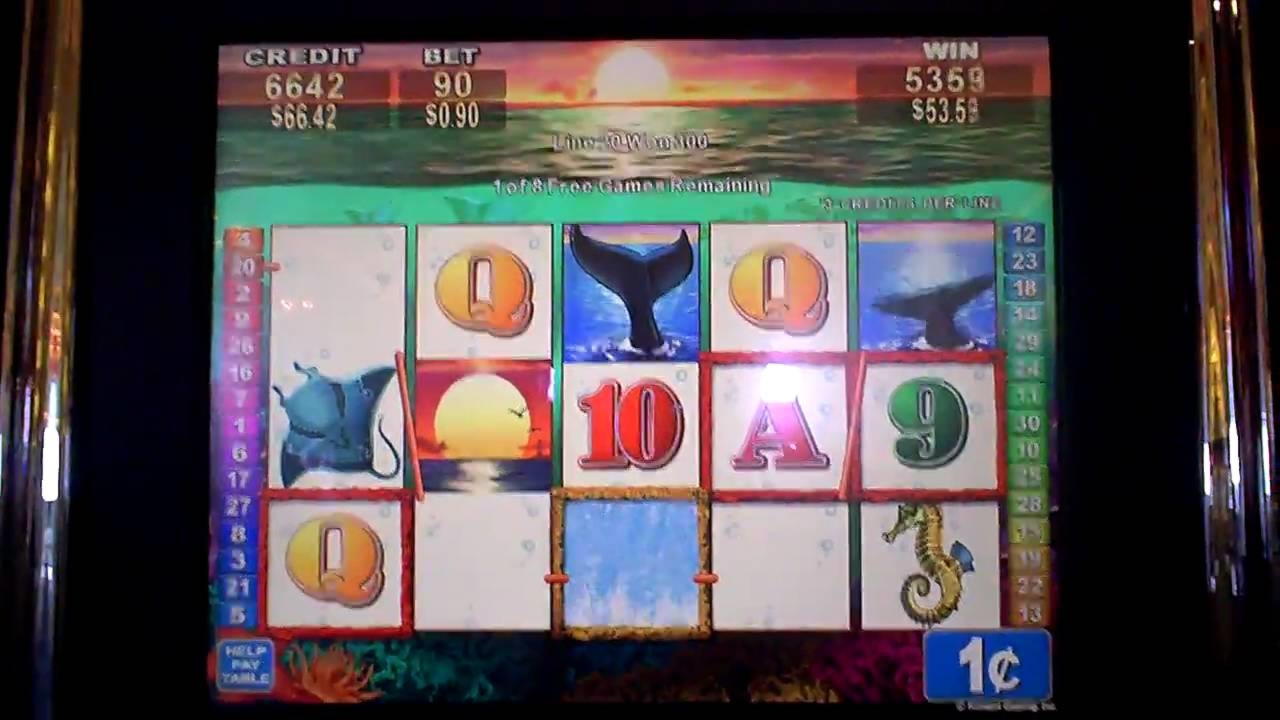 €1610 No Deposit Casino Bonus at Ikibu Casino