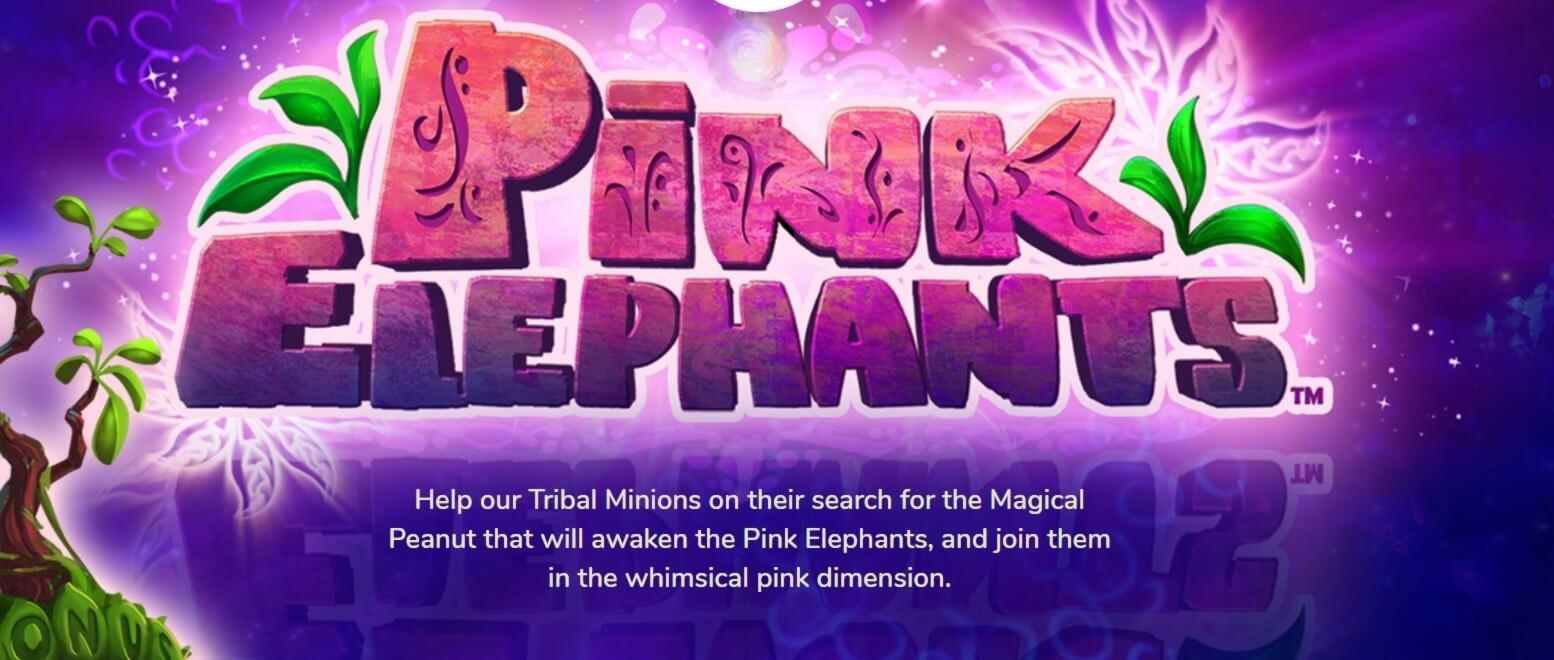 EUR 365 FREE Chip at Spinit Casino