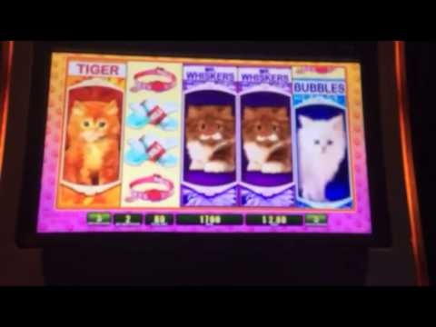 €1145 no deposit bonus at Casimba Casino