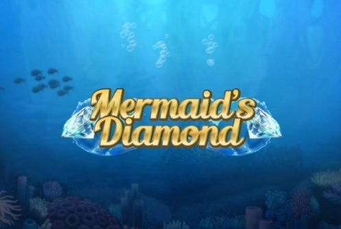 480% Casino match bonus at Jet Bull Casino