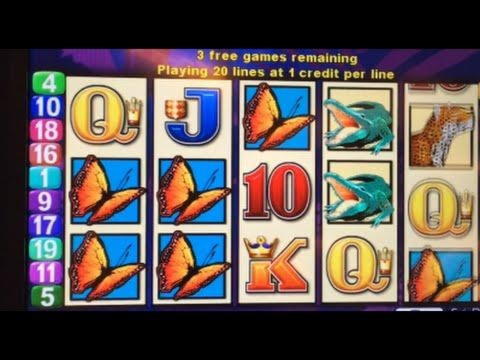 Eur 615 Free Casino Tournament at Casimba Casino