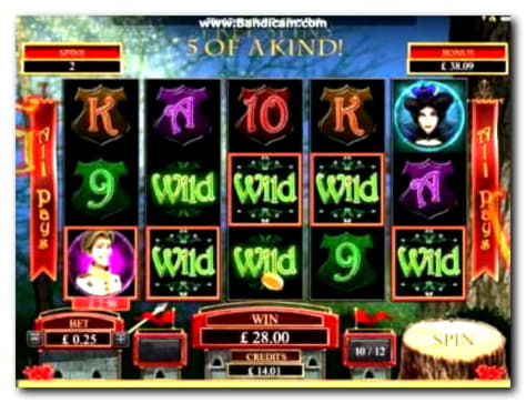 185 Loyalty Free Spins! at Casimba Casino