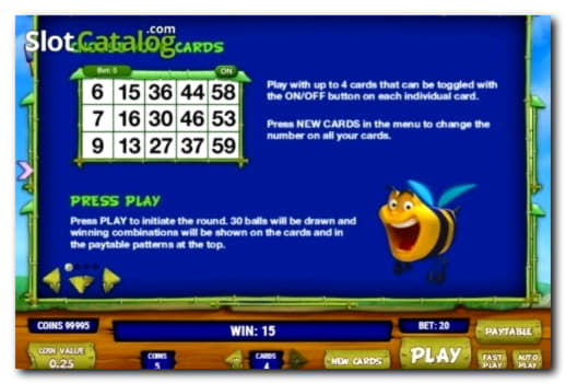 240 Free spins casino at Winner Casino