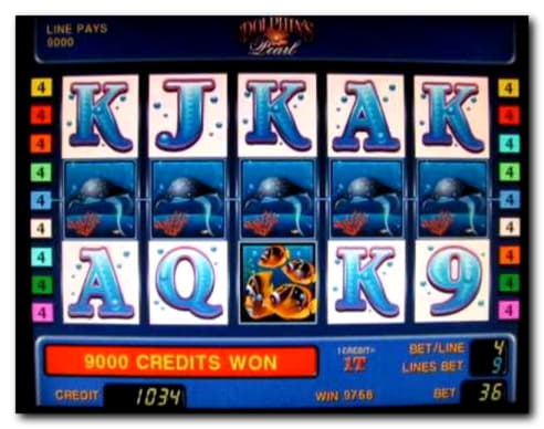 €800 no deposit bonus casino at Ikibu Casino