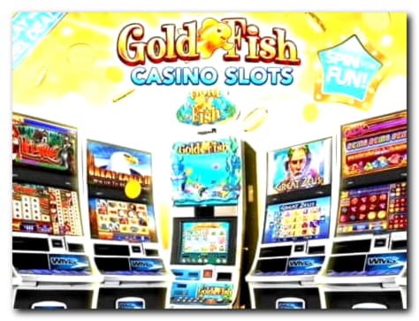 600% Match bonus casino at Ikibu Casino