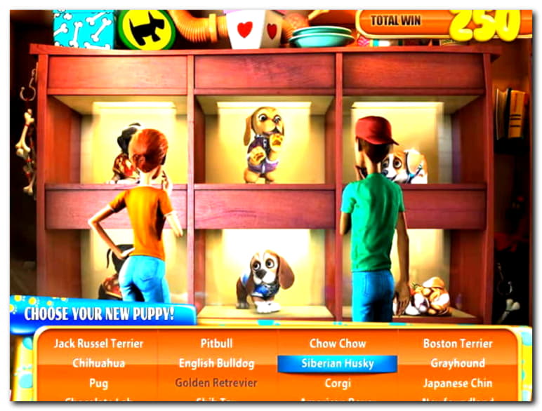 545% Signup Casino Bonus at Casimba Casino