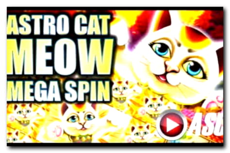 155 Loyalty Free Spins! at Spinrider Casino