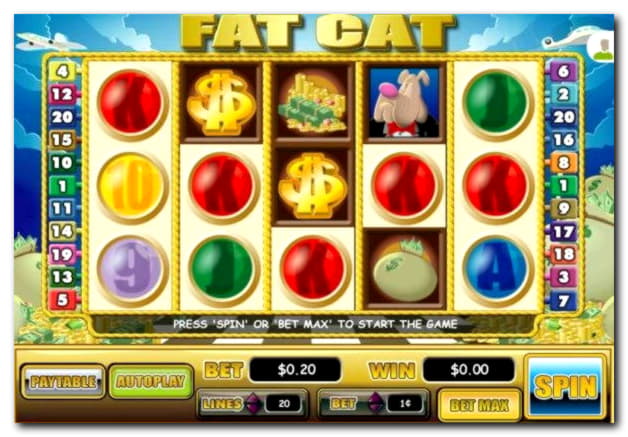 €430 Daily freeroll slot tournament at Spinit Casino