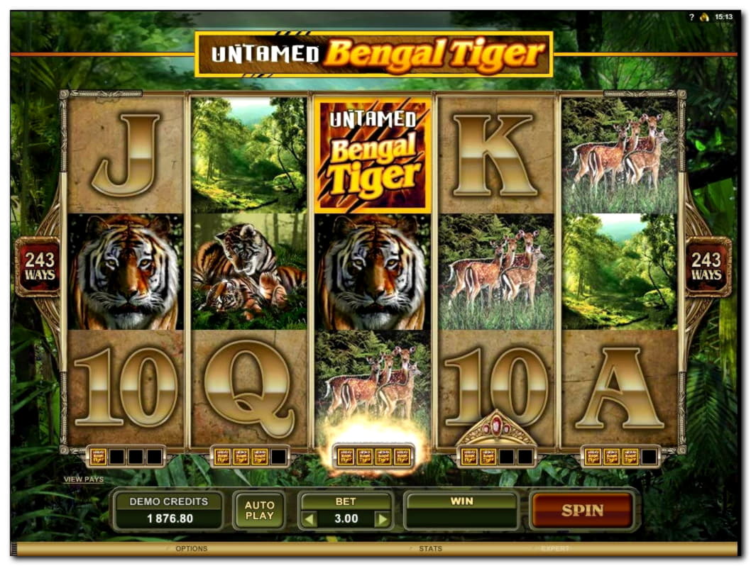 495% Signup Casino Bonus at Ikibu Casino