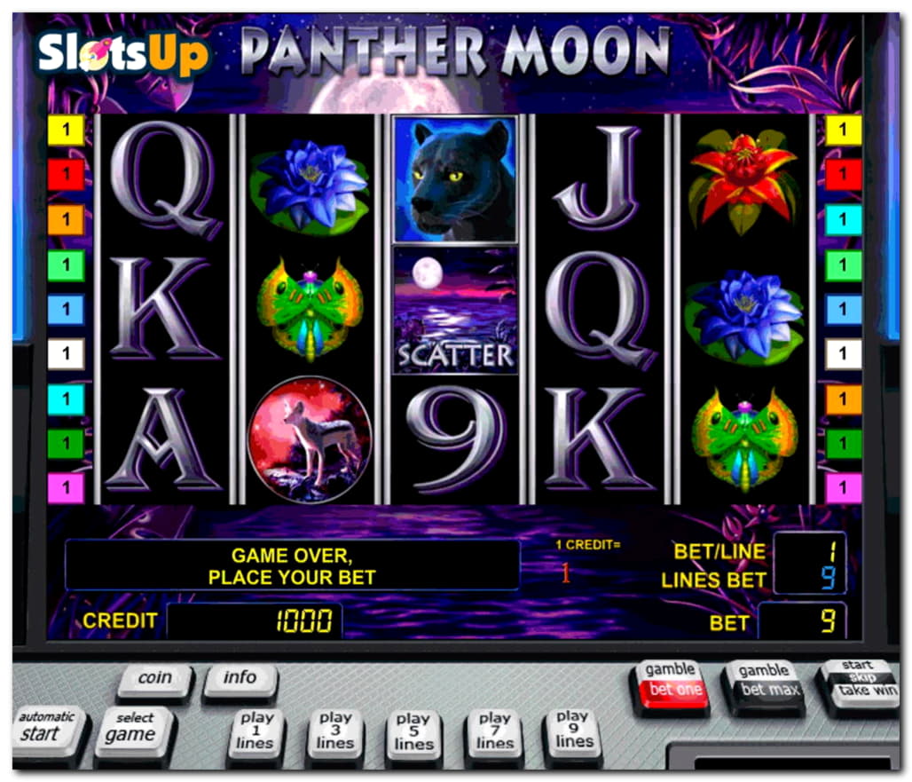 575% First Deposit Bonus at Spinrider Casino