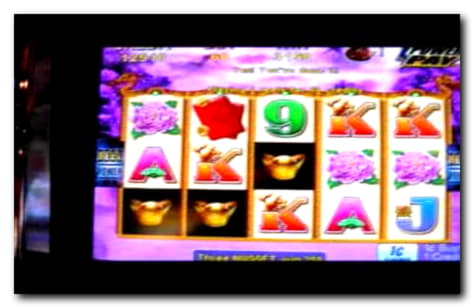 33 Free Spins right now at William Hill Casino