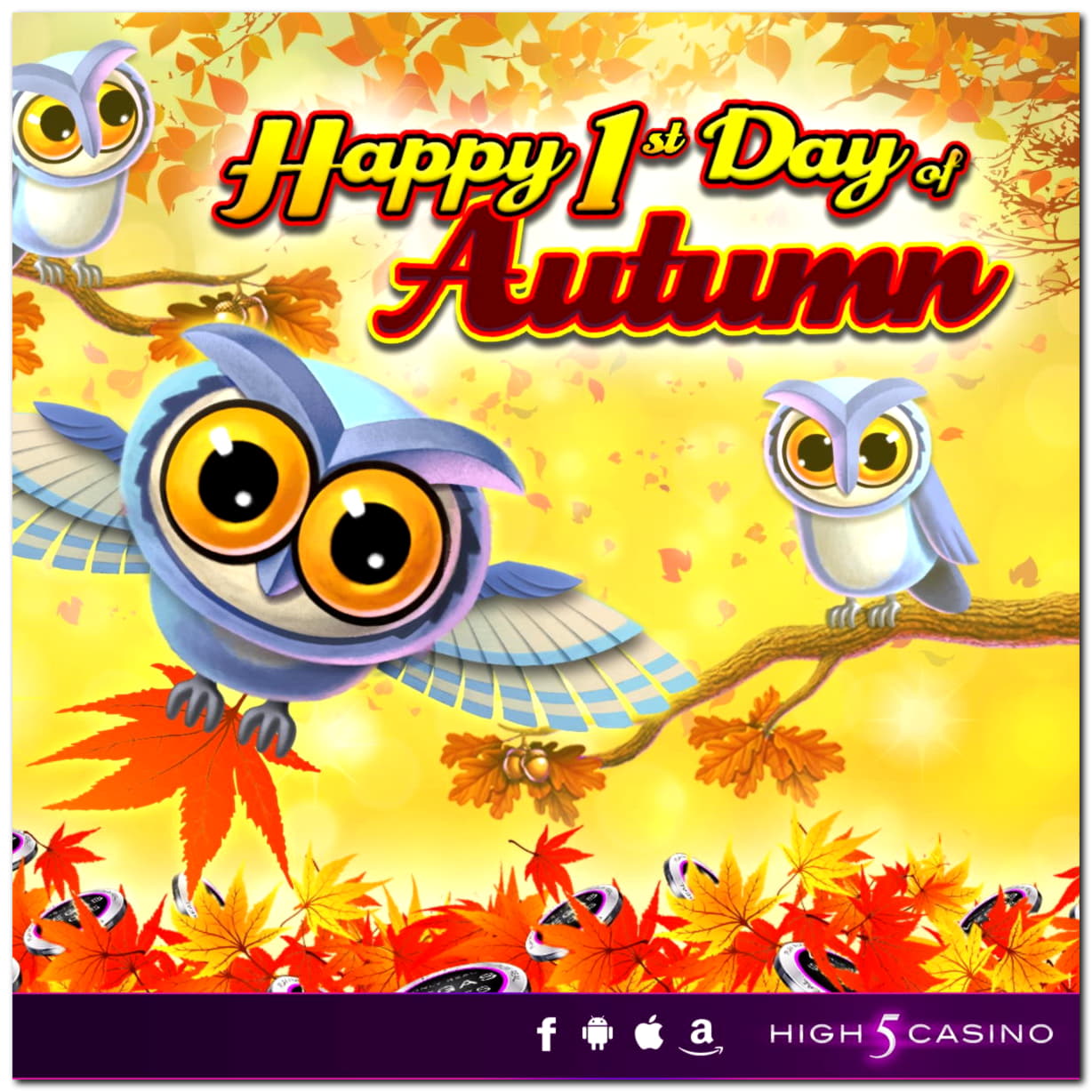 $905 no deposit at Spinrider Casino