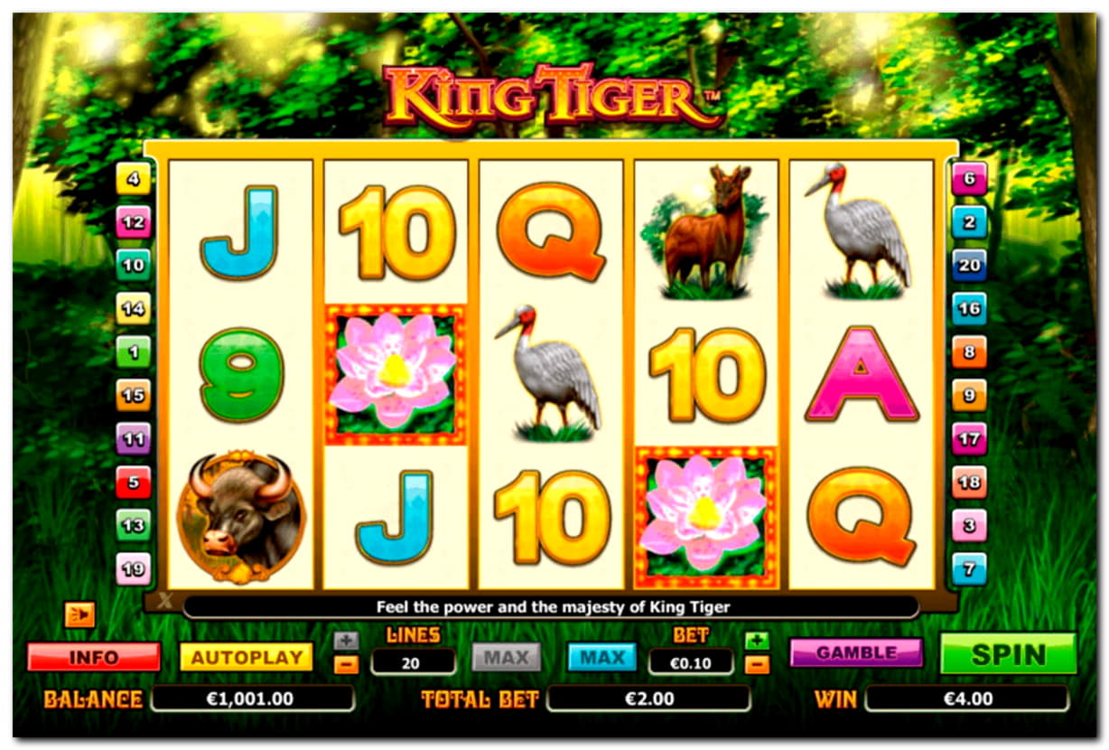90 free spins at Casimba Casino