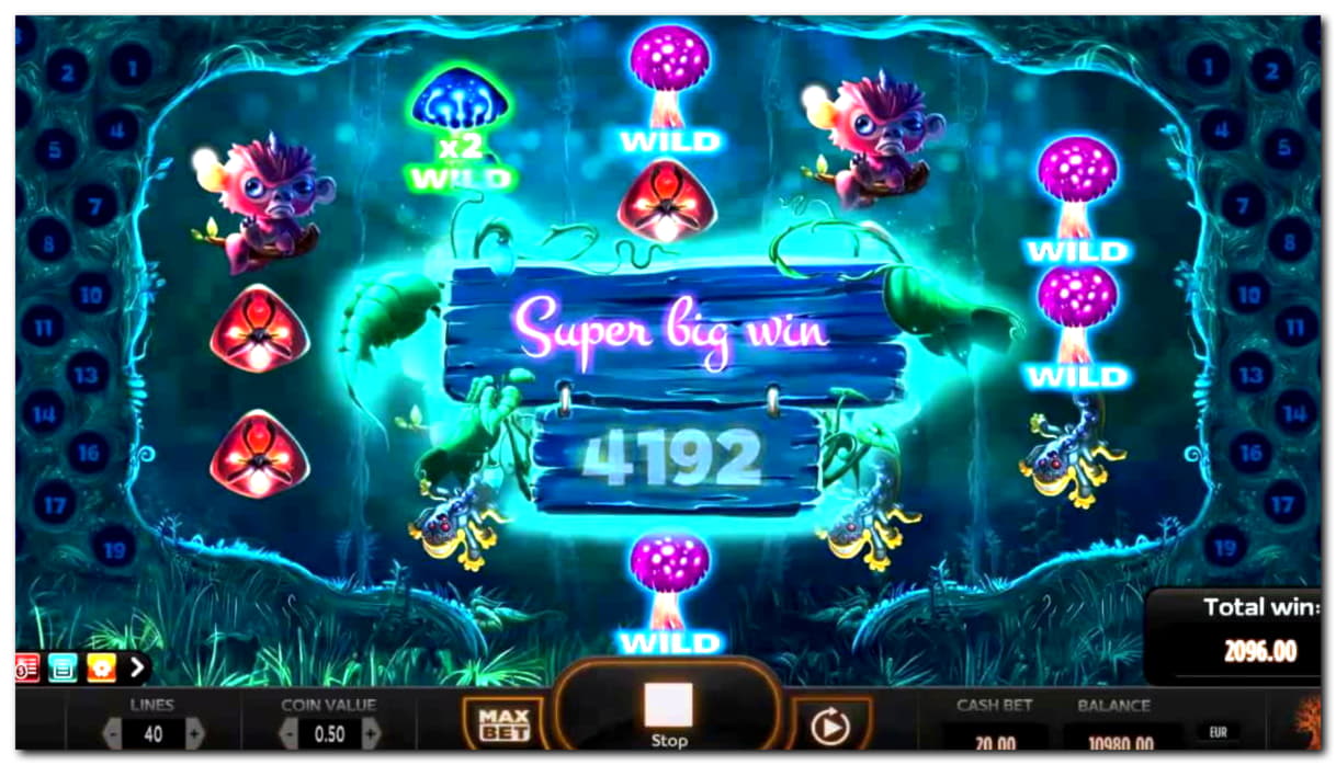 EURO 535 free casino chip at Spin Palace Casino