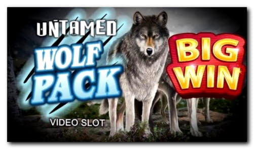 175 Loyalty Free Spins! at Dunder Casino