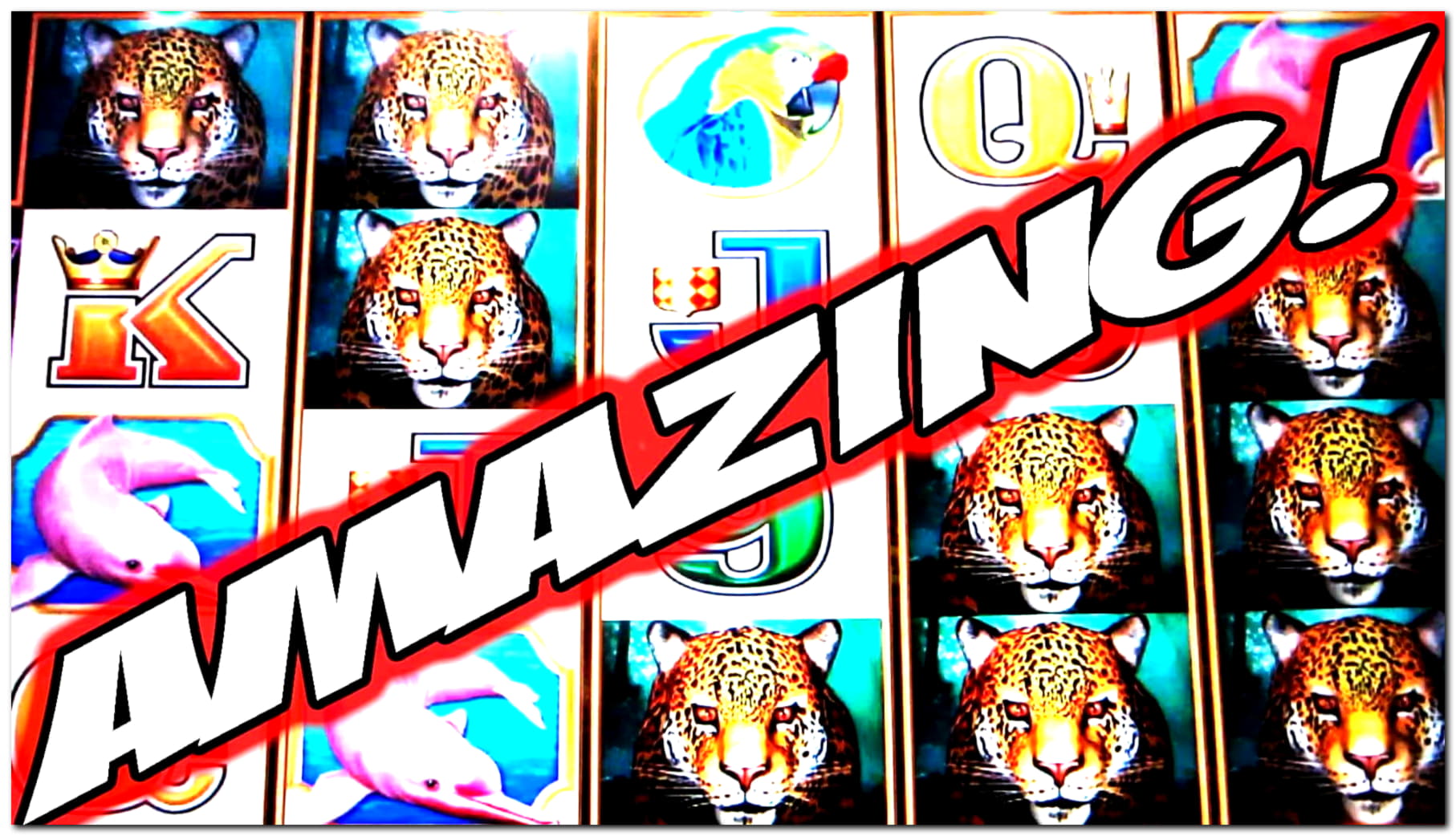 220 free spins no deposit at Dunder Casino
