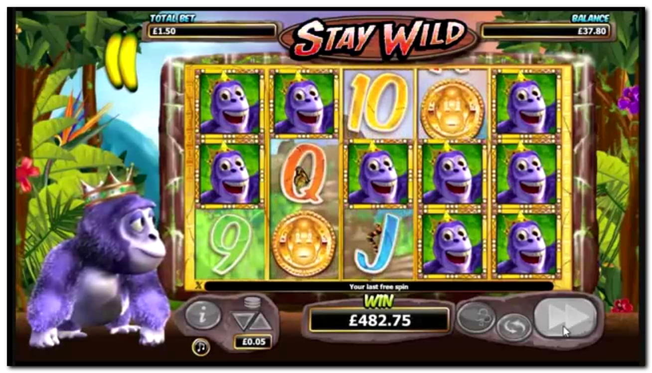 ﻿$2300 No deposit bonus at Vera and Jhon Casino