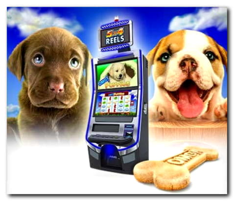 55 Trial Spins at Energy Casino