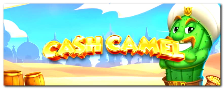 110 Loyal Free Spins! at Dream Vegas Casino