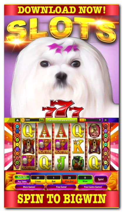 Eur 410 Daily freeroll slot tournament at Gamebookers Casino