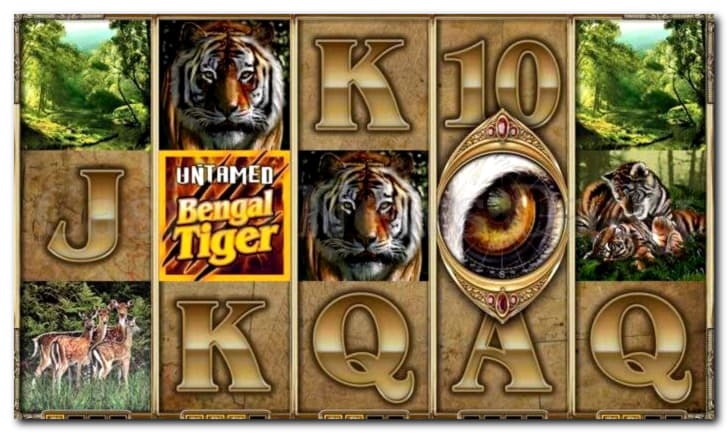 $395 Free casino chip at Jet Bull Casino